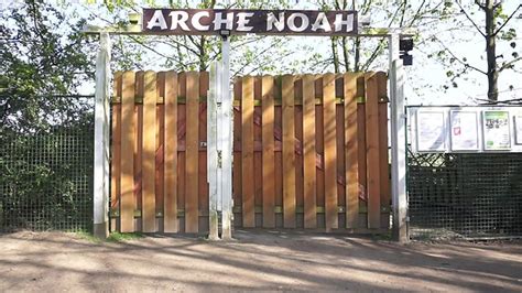 meerbusch arche noah|Start .